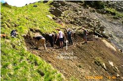 The Triassic/Jurassic GSSP, nr Innsbruck, Austria. Photo courtesy, Nicol Morton.